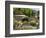 Avenue Gardens, Regent's Park, London, England, United Kingdom, Europe-Ethel Davies-Framed Photographic Print