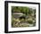 Avenue Gardens, Regent's Park, London, England, United Kingdom, Europe-Ethel Davies-Framed Photographic Print