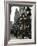 Avenue Habib Bourgiba, Tunis, Tunisia, North Africa, Africa-Ethel Davies-Framed Photographic Print