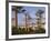 Avenue of Baobabs at Sunrise-Nigel Pavitt-Framed Photographic Print