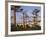 Avenue of Baobabs at Sunrise-Nigel Pavitt-Framed Photographic Print