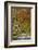 Avenue of Beech Trees, Near Laurieston, Dumfries and Galloway, Scotland, United Kingdom, Europe-Gary Cook-Framed Photographic Print