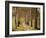 Avenue of Birches-Thonig-Framed Photographic Print