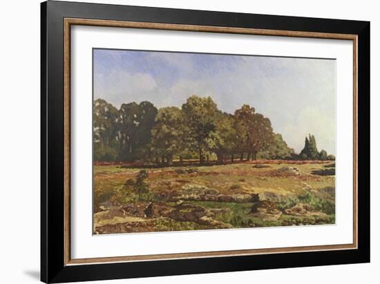 Avenue of Chestnut Trees at La Celle-Saint-Cloud, C.1866-67-Alfred Sisley-Framed Giclee Print