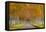 Avenue of Colourful Trees in Autumn, Dorset, England. November-Adam Burton-Framed Premier Image Canvas