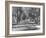 Avenue of Cypress in Central Park-Dmitri Kessel-Framed Photographic Print