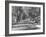 Avenue of Cypress in Central Park-Dmitri Kessel-Framed Photographic Print