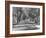 Avenue of Cypress in Central Park-Dmitri Kessel-Framed Photographic Print