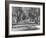 Avenue of Cypress in Central Park-Dmitri Kessel-Framed Photographic Print