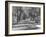 Avenue of Cypress in Central Park-Dmitri Kessel-Framed Photographic Print