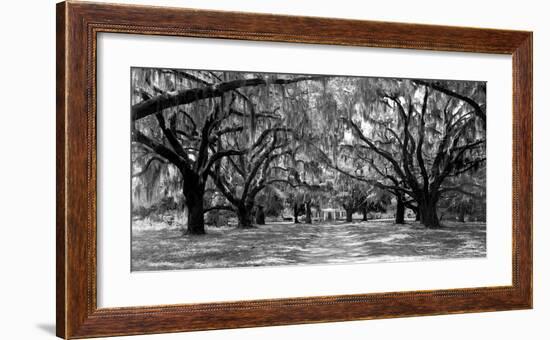 Avenue of oaks, South Carolina-null-Framed Art Print