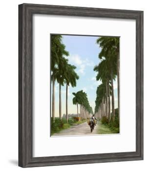 Avenue of Palms, Havana, 1903-null-Framed Giclee Print