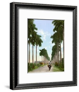 Avenue of Palms, Havana, 1903-null-Framed Giclee Print