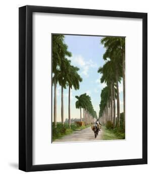 Avenue of Palms, Havana, 1903-null-Framed Giclee Print