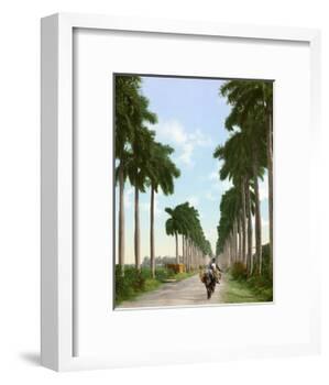 Avenue of Palms, Havana, 1903-null-Framed Giclee Print