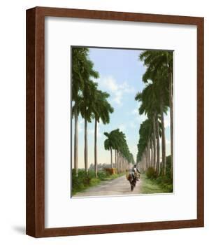 Avenue of Palms, Havana, 1903-null-Framed Giclee Print