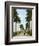 Avenue of Palms, Havana, 1903-null-Framed Giclee Print