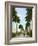 Avenue of Palms, Havana, 1903-null-Framed Giclee Print