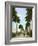 Avenue of Palms, Havana, 1903-null-Framed Giclee Print