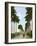 Avenue of Palms, Havana, 1903-null-Framed Giclee Print