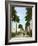 Avenue of Palms, Havana, 1903-null-Framed Giclee Print