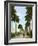 Avenue of Palms, Havana, 1903-null-Framed Giclee Print