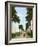 Avenue of Palms, Havana, 1903-null-Framed Giclee Print