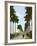 Avenue of Palms, Havana, 1903-null-Framed Giclee Print