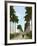 Avenue of Palms, Havana, 1903-null-Framed Giclee Print