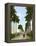Avenue of Palms, Havana, 1903-null-Framed Premier Image Canvas