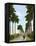 Avenue of Palms, Havana, 1903-null-Framed Premier Image Canvas