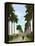 Avenue of Palms, Havana, 1903-null-Framed Premier Image Canvas