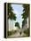 Avenue of Palms, Havana, 1903-null-Framed Premier Image Canvas