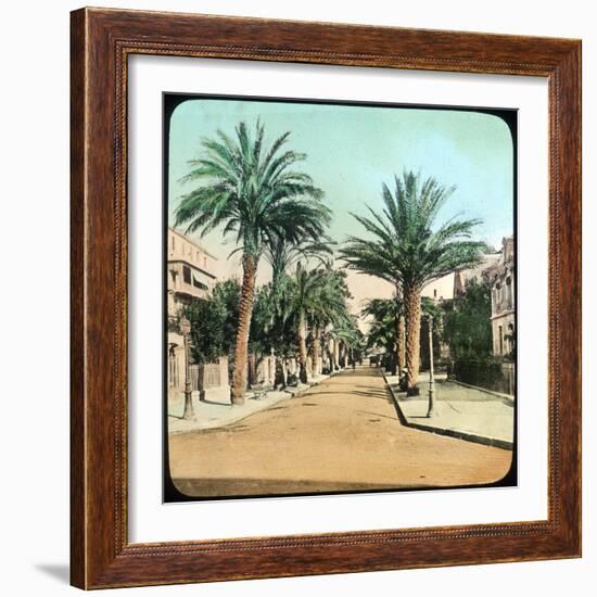 Avenue of Palms, Hyeres, France, Late 19th or Early 20th Century-null-Framed Giclee Print