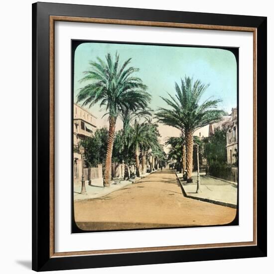 Avenue of Palms, Hyeres, France, Late 19th or Early 20th Century-null-Framed Giclee Print