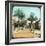 Avenue of Palms, Hyeres, France, Late 19th or Early 20th Century-null-Framed Giclee Print