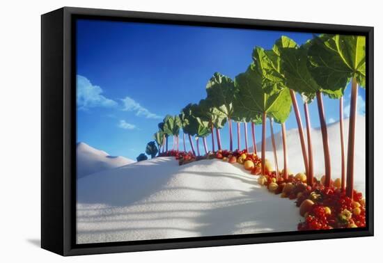 Avenue of Rhubarb Sticks and Fruit in a Sugar Desert-Hartmut Seehuber-Framed Premier Image Canvas