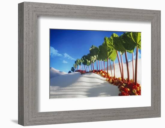 Avenue of Rhubarb Sticks and Fruit in a Sugar Desert-Hartmut Seehuber-Framed Photographic Print