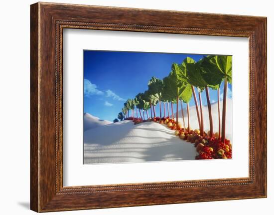 Avenue of Rhubarb Sticks and Fruit in a Sugar Desert-Hartmut Seehuber-Framed Photographic Print