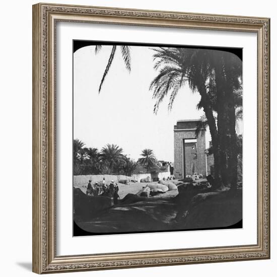 Avenue of Sphinxes, Karnak, Egypt, C1890-Newton & Co-Framed Photographic Print
