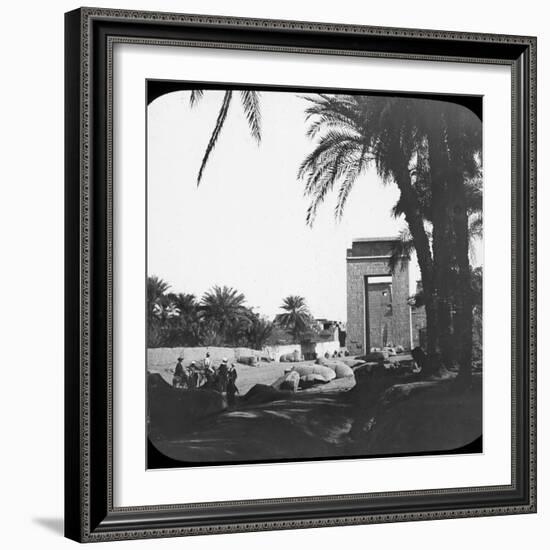 Avenue of Sphinxes, Karnak, Egypt, C1890-Newton & Co-Framed Photographic Print