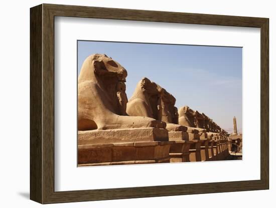 Avenue of Sphinxes, Karnak Temple, Luxor, Thebes, Egypt, North Africa-David Pickford-Framed Photographic Print