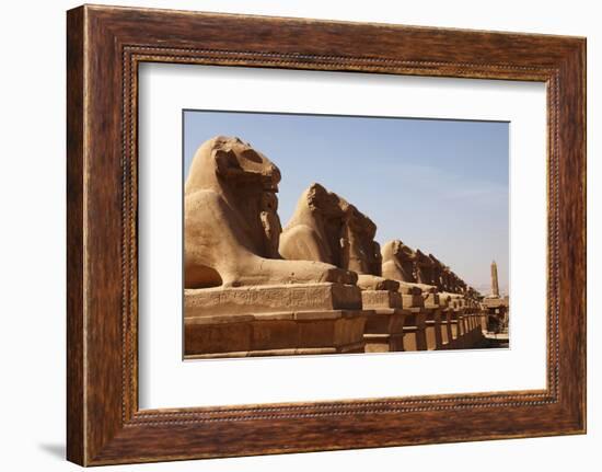 Avenue of Sphinxes, Karnak Temple, Luxor, Thebes, Egypt, North Africa-David Pickford-Framed Photographic Print