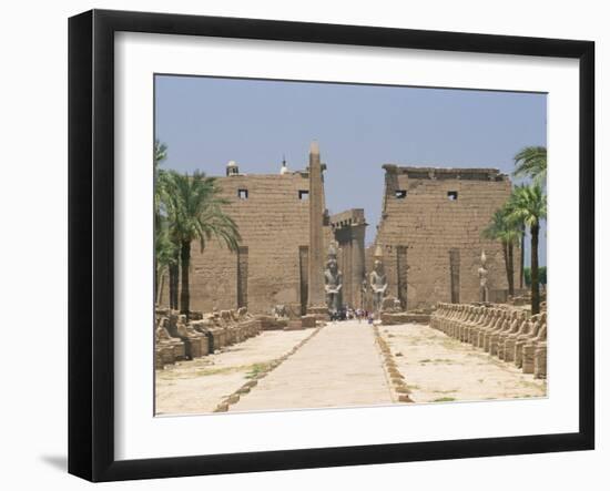 Avenue of Sphinxes Looking Towards Statues of Ramses II, Luxor Temple, Luxor, Thebes, Egypt-Gavin Hellier-Framed Photographic Print