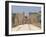 Avenue of Sphinxes Looking Towards Statues of Ramses II, Luxor Temple, Luxor, Thebes, Egypt-Gavin Hellier-Framed Photographic Print