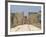 Avenue of Sphinxes Looking Towards Statues of Ramses II, Luxor Temple, Luxor, Thebes, Egypt-Gavin Hellier-Framed Photographic Print