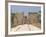 Avenue of Sphinxes Looking Towards Statues of Ramses II, Luxor Temple, Luxor, Thebes, Egypt-Gavin Hellier-Framed Photographic Print