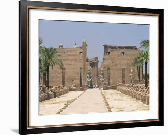 Avenue of Sphinxes Looking Towards Statues of Ramses II, Luxor Temple, Luxor, Thebes, Egypt-Gavin Hellier-Framed Photographic Print