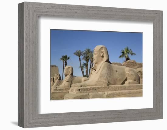 Avenue of Sphinxes, Luxor Temple, Luxor, Thebes, Egypt, North Africa, Africa-Richard Maschmeyer-Framed Photographic Print