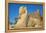 Avenue of Sphinxes, Luxor Temple, UNESCO World Heritage Site, Luxor, Egypt, North Africa, Africa-Jane Sweeney-Framed Premier Image Canvas